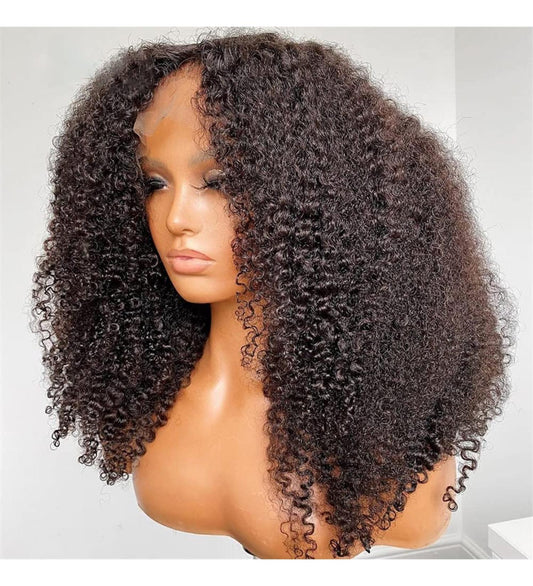 Kinky Curly Hd Lace Wig