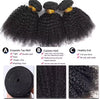 Virgin Hair Kinky Curly Extensions